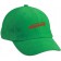 color:fern-green